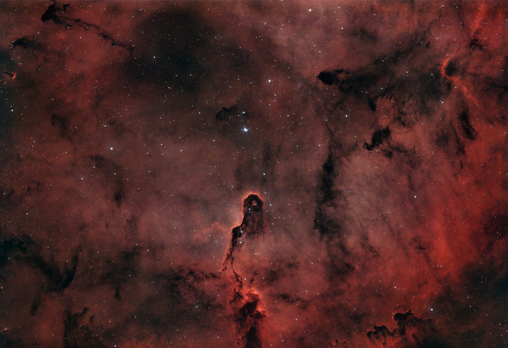 Angel Of Dust
