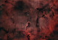 Angel Of Dust